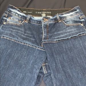 Lane Bryant Jeans